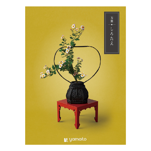 �J�^���O�M�t�g ���t ���낽��